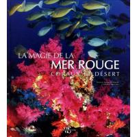 La magie de la mer rouge - coraux et désert