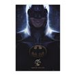 Poster DC Comics The Flash Batman