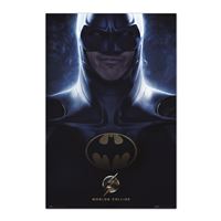 Poster DC Comics The Flash Batman