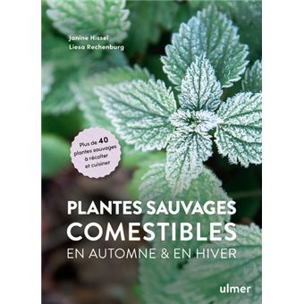 Plantes sauvages comestibles à récolter et cuisiner en automne et en hiver