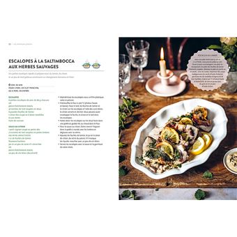 Plantes sauvages comestibles à récolter et cuisiner en automne et en hiver