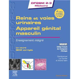 Reins et voies urinaires - Appareil génital masculin