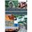 Le voyage des pierres - Dans le temps et l'espace - Nature, histoire, symbolique, arts et traditions humaines_0