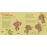 Comptines pour chanter le Far West_1