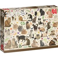 Katten Poster Puzzel 1000 Stukjes Franciens Katten