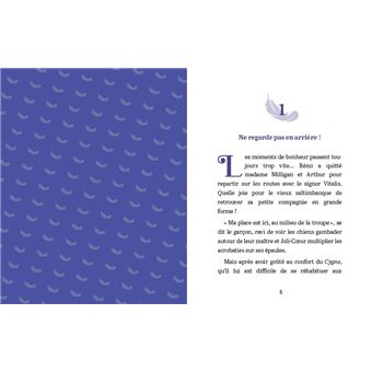 Rémi sans famille - T2 Le temps des épreuves