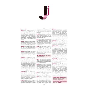 Dictionnaire auzou collège