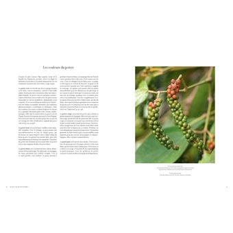 Terre de poivres (Nouvelle édition)