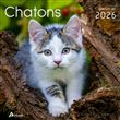 Calendrier chatons 2026