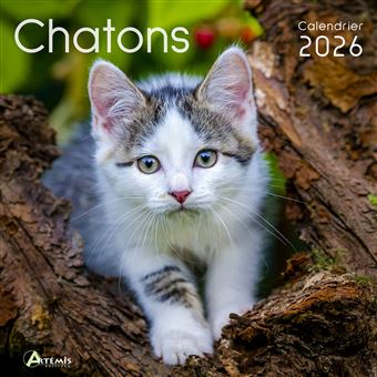 Calendrier chatons 2026