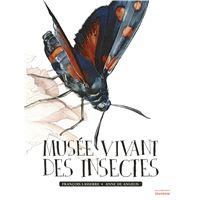 Reveil des fourmis (Le) - cartonné - KOBAYASHI ISAMU - Achat Livre ...