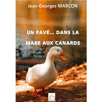 Un pavé... dans la mare aux canards