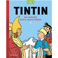 FAUT-IL BRÛLER TINTIN ?, Renaud Nattiez - livre, ebook, epub