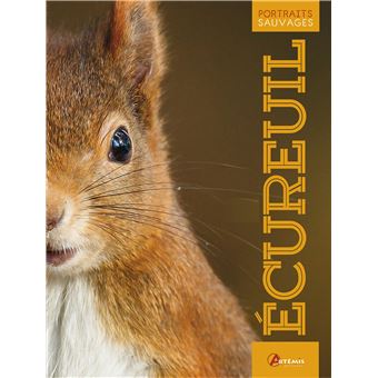 L Ecureuil Cartonne Gerard Grolleau Achat Livre Fnac