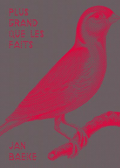 Plus grand que les faits - Jan Baeke - broché