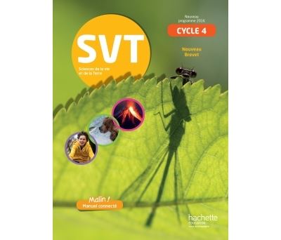 SVT Cycle 4