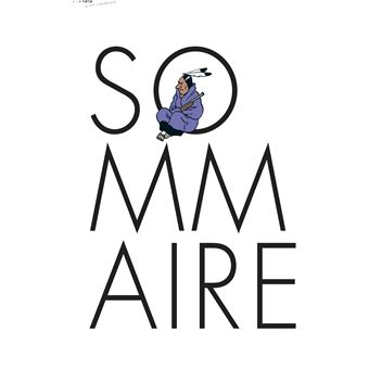 Tintin - C'est l'aventure 4