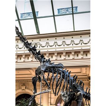 Tintin - C'est l'aventure 4