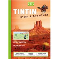Tintin c'est l'aventure 4