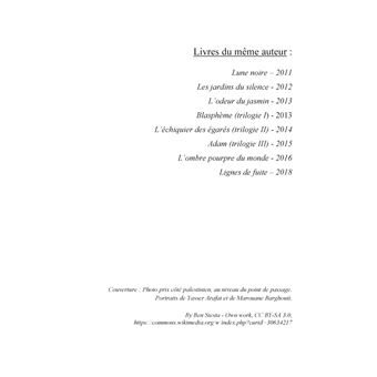 L'arme de Goliath