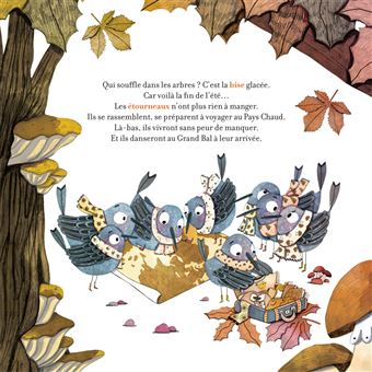 Contes de la nature - Le bal des oiseaux 3/5 ans