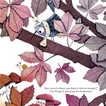 Contes de la nature - Le bal des oiseaux 3/5 ans