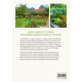 Les cultures associées au potager - Guide visuel des bonnes associations