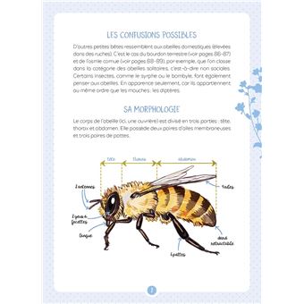 Les abeilles