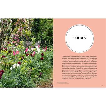 Les 900 plantes de jardin à connaître