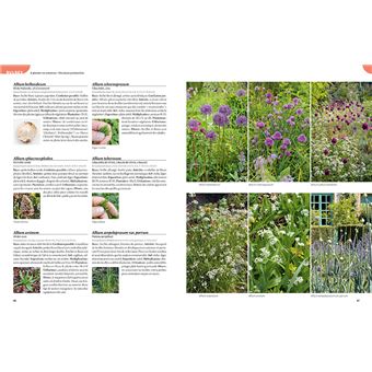 Les 900 plantes de jardin à connaître