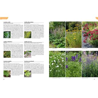 Les 900 plantes de jardin à connaître