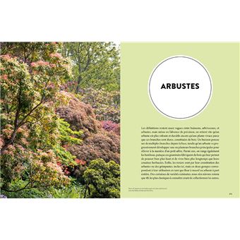 Les 900 plantes de jardin à connaître