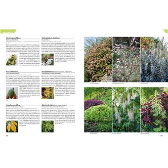 Les 900 plantes de jardin à connaître