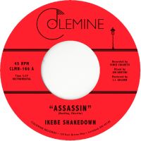 7- assassin