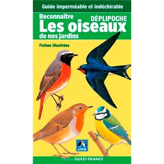 Reconnaitre Les Oiseaux De Nos Jardins