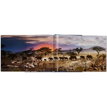 Stephen Wilkes. Day to Night