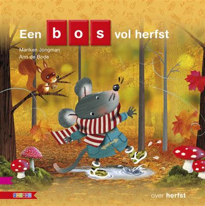 Een bos vol herfst