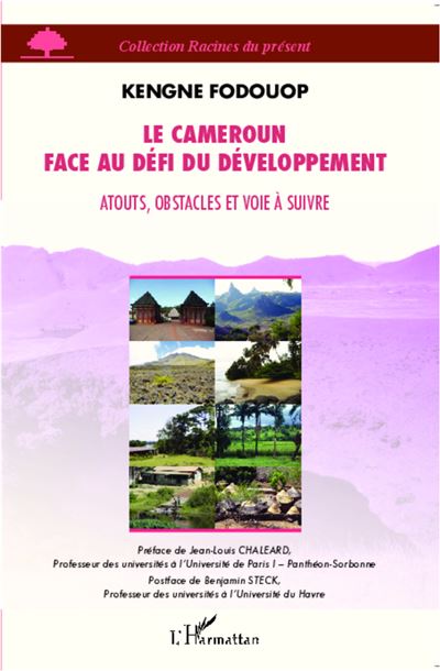 Le Cameroun face au défi du développement - Kengne Fodouop - broché