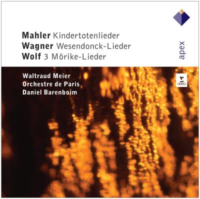 Kindertotenlieder - Wesendonck lieder - 3 lieder