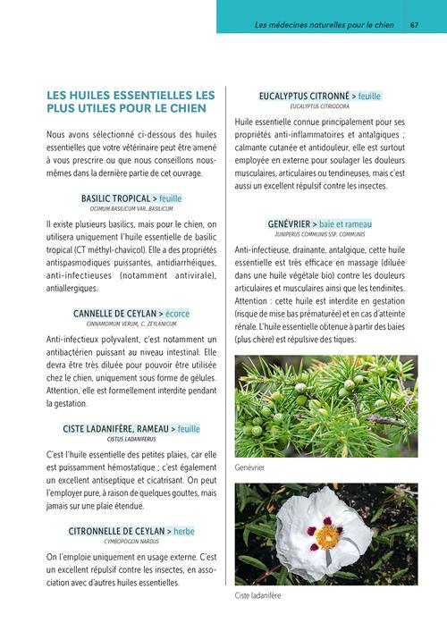 Soins naturels pour le chien - broché - Françoise Heitz - Achat 