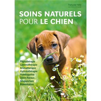 Soins naturels pour le chien