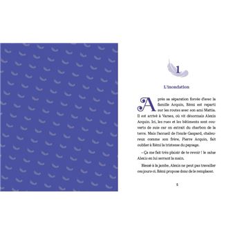 Rémi sans famille - T3 De merveilleuses retrouvailles