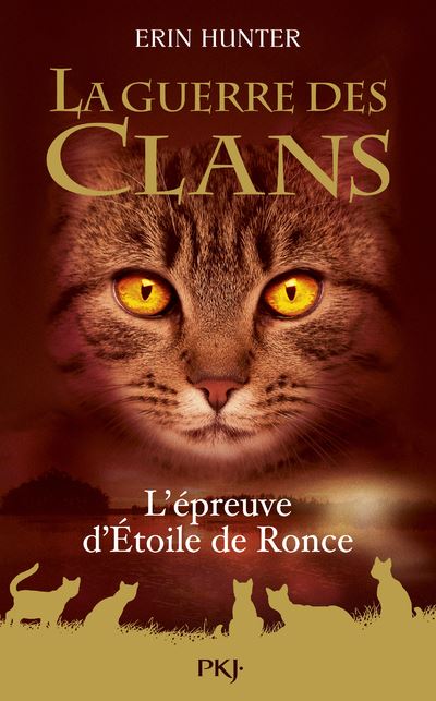 La Guerre Des Clans La Guerre Des Clans L Preuve D Etoile De Ronce Hors S Rie Erin