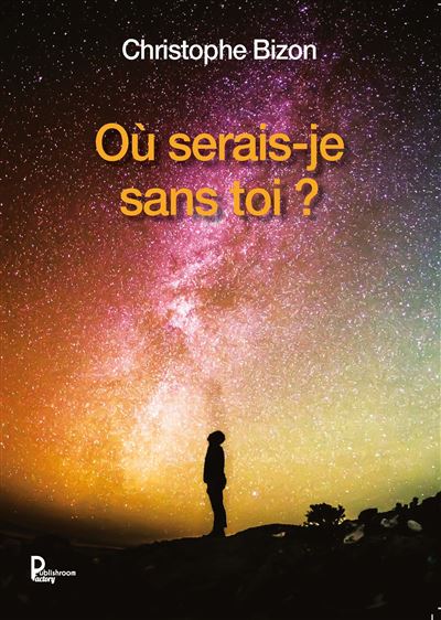 Où serais-je sans toi ? - Christophe Bizon - broché