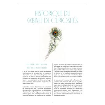 Cabinet de curiosités - 30 trésors de la nature à dessiner