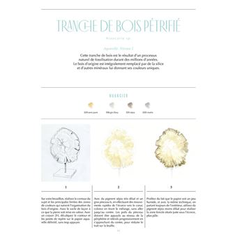 Cabinet de curiosités - 30 trésors de la nature à dessiner