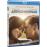 Arthur Newman Blu-Ray_0