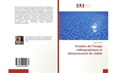 Troubles de l'image vidéographique et détournement du visible