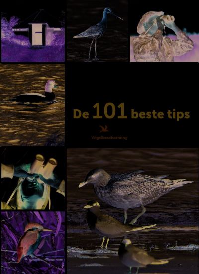 Vogels kijken