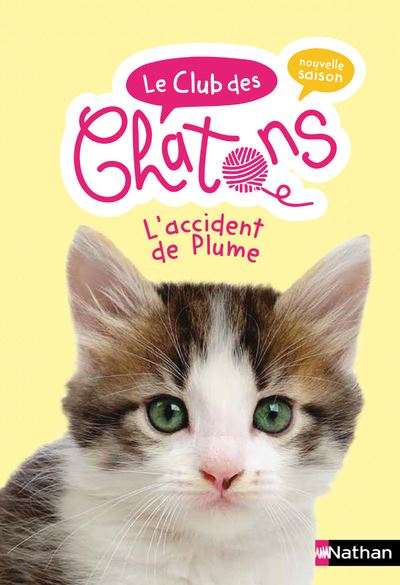 Le Club Des Chaton L Accident De Plume Tome 10 Dernier Livre De Collectif Precommande Date De Sortie Fnac